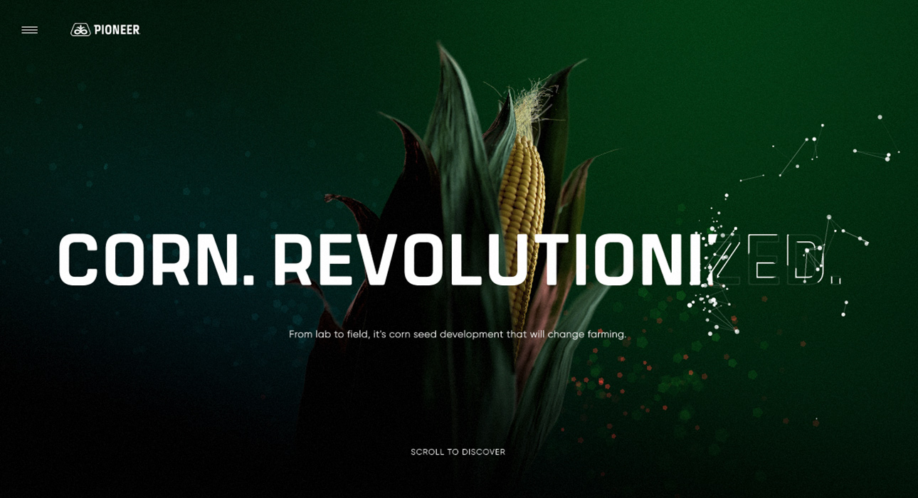 mejor-diseno-web-2021