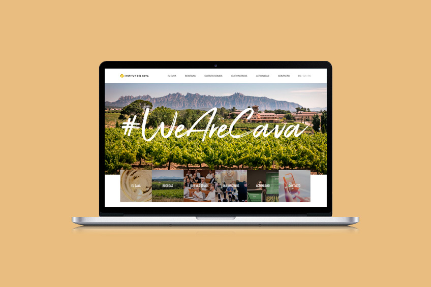 Institut del Cava
