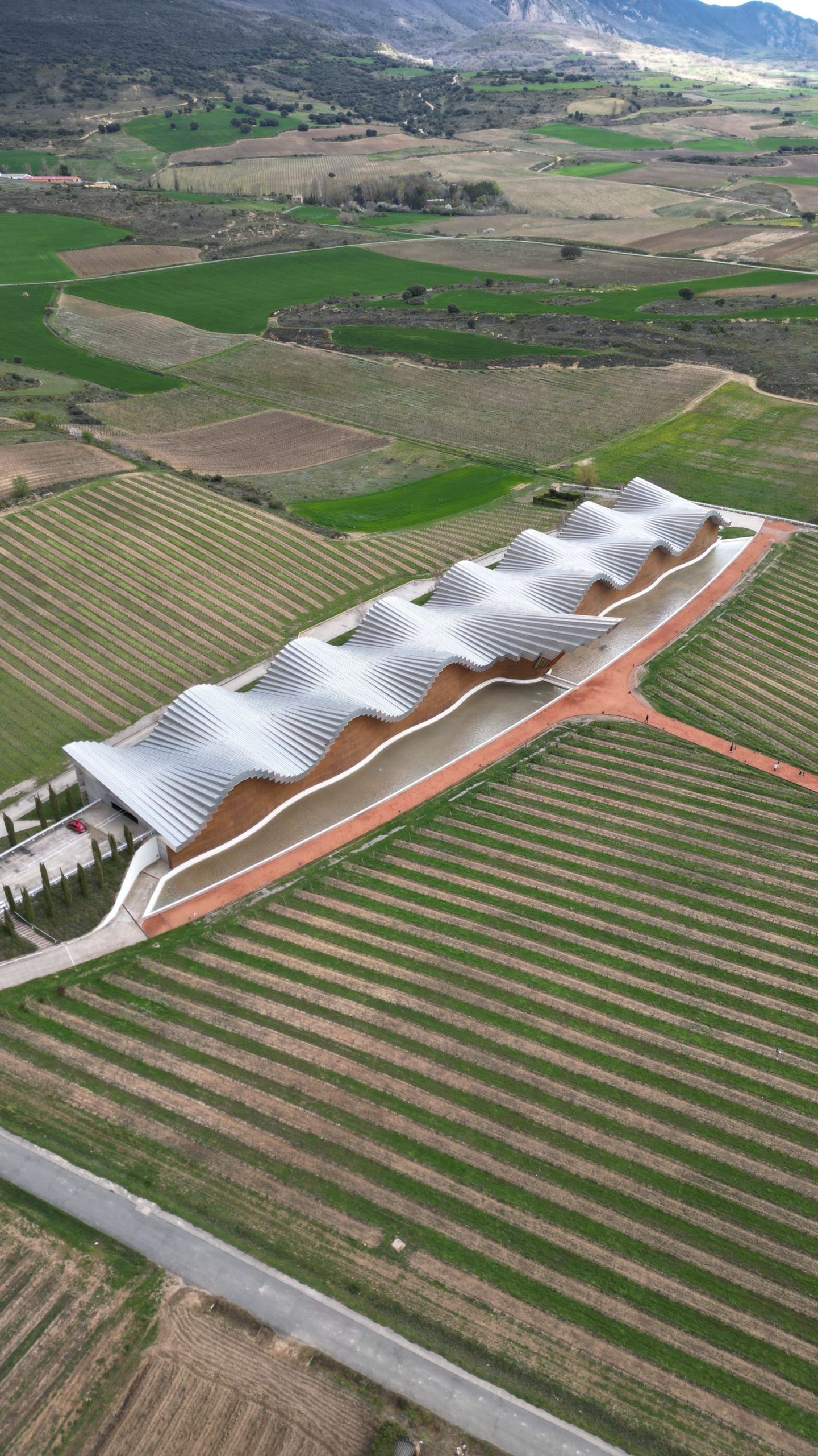 Diseño web para Bodegas y vino